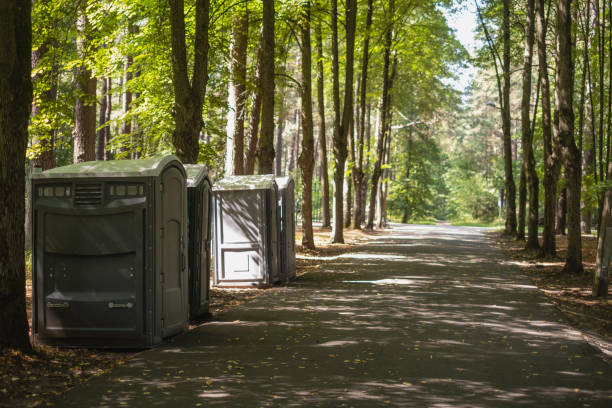 Best Luxury portable toilet rental  in Green Meadows, OH